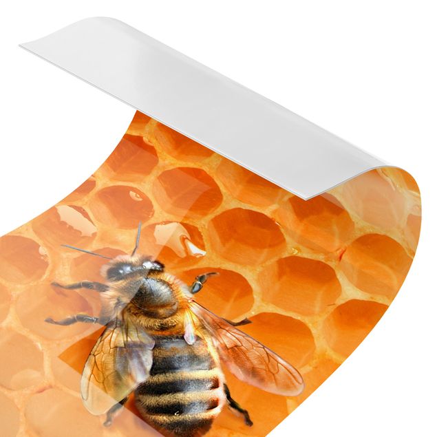 Keukenachterwanden Honey Bee