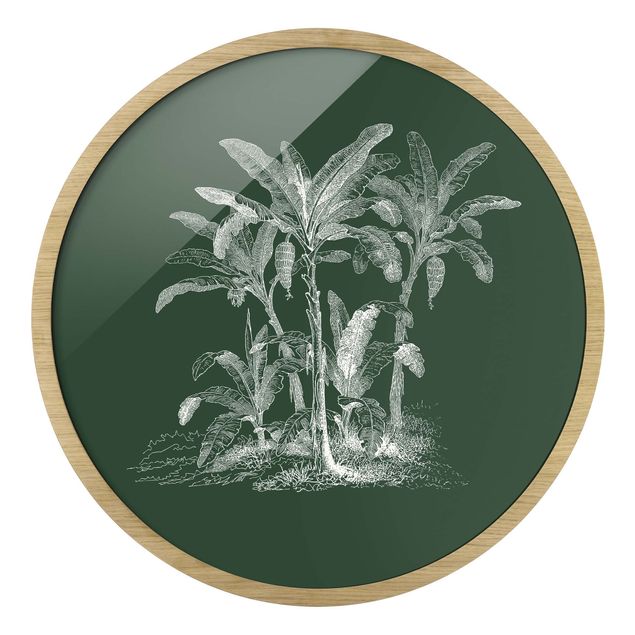Rond schilderijen Illustrazione di palme di banano su verde
