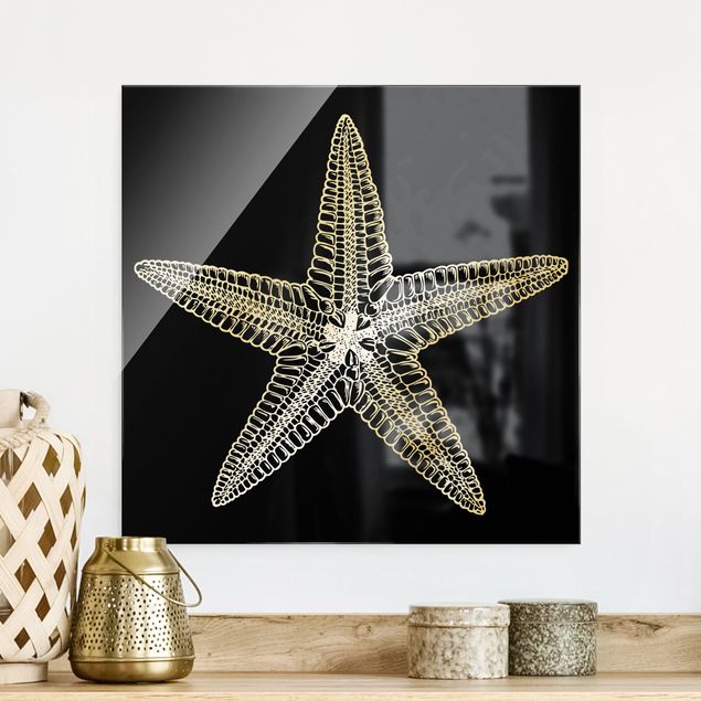 Glas Magnettafel Illustration Starfish On Black