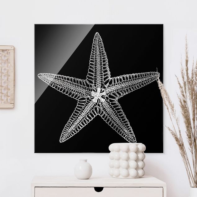 Glas Magnettafel Illustration Starfish On Black