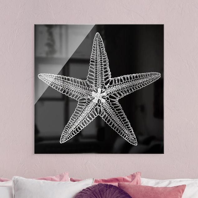 Glasschilderijen Illustration Starfish On Black