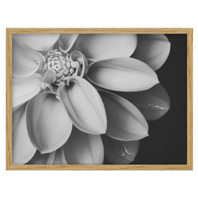 Ingelijste posters In The Heart Of A Dahlia Black And White
