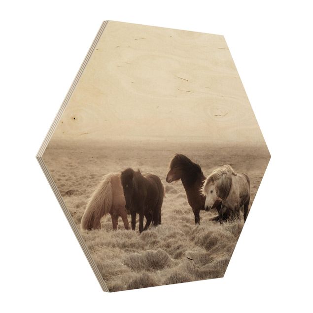Hexagons houten schilderijen Wild Icelandic Horse