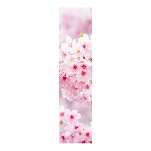 Schuifgordijnen Japanese Cherry Blossoms