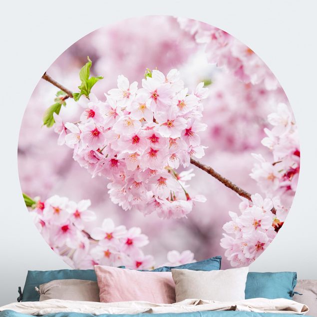 Behangcirkel Japanese Cherry Blossoms