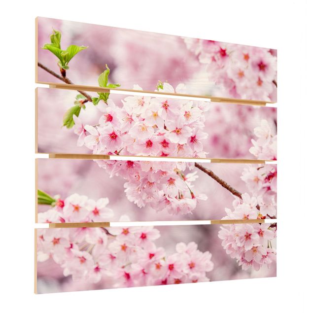 Houten schilderijen op plank Japanese Cherry Blossoms