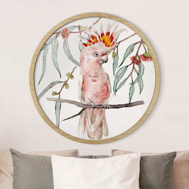 Runde gerahmte Bilder Cockatoo With Pink Feathers