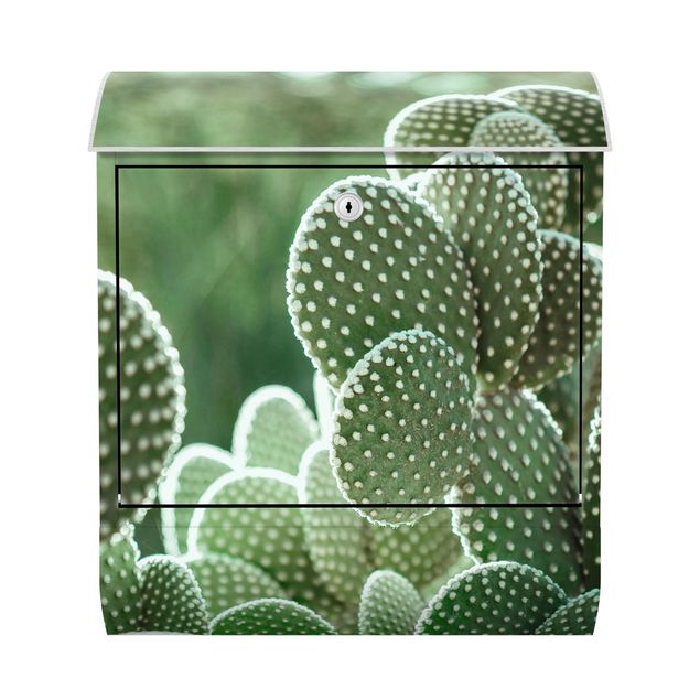 Brievenbussen Cacti