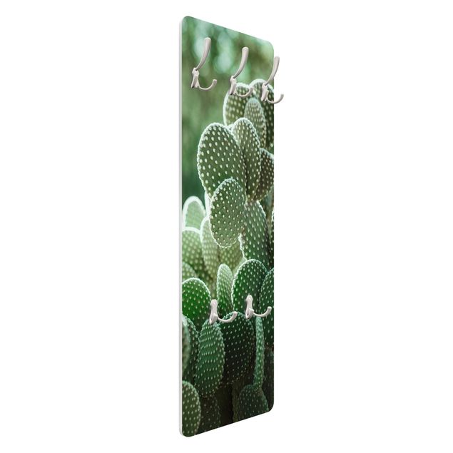 Wandkapstokken houten paneel Cacti