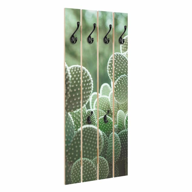 Wandkapstokken houten pallet Cacti