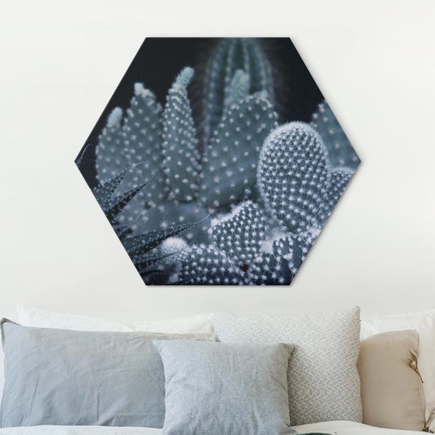 Hexagons Aluminium Dibond schilderijen Familiy Of Cacti At Night