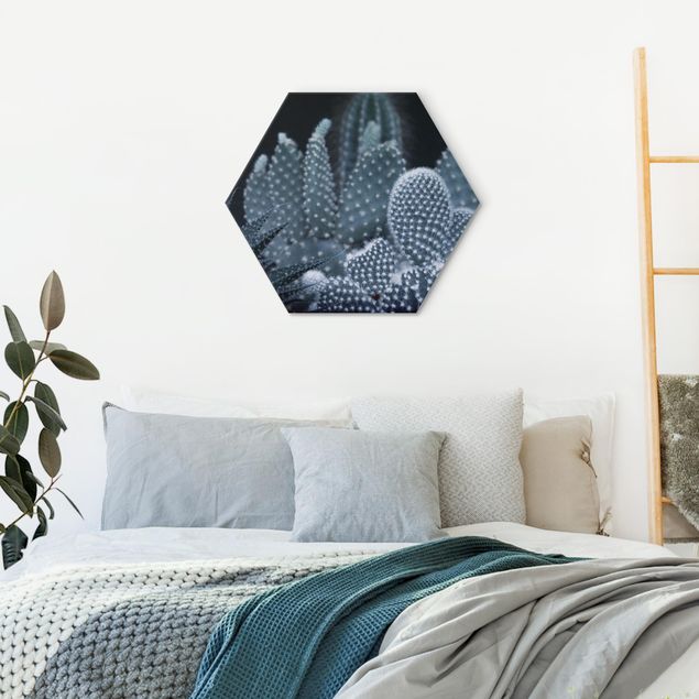 Hexagons Aluminium Dibond schilderijen Familiy Of Cacti At Night