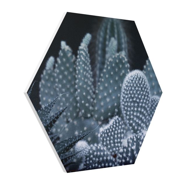 Hexagons Forex schilderijen Familiy Of Cacti At Night