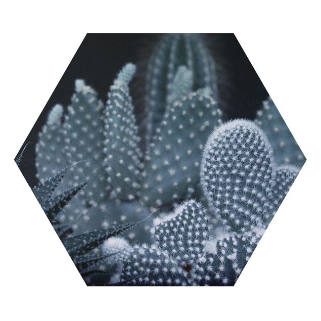 Hexagons Forex schilderijen Familiy Of Cacti At Night