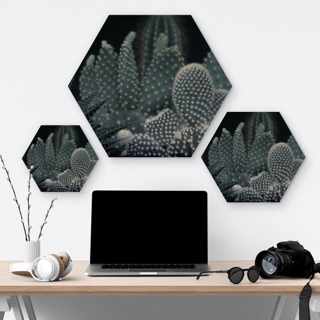 Hexagons houten schilderijen Familiy Of Cacti At Night