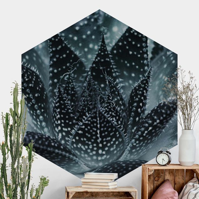 Hexagon Behang Cactus Drizzled With Starlight At Night