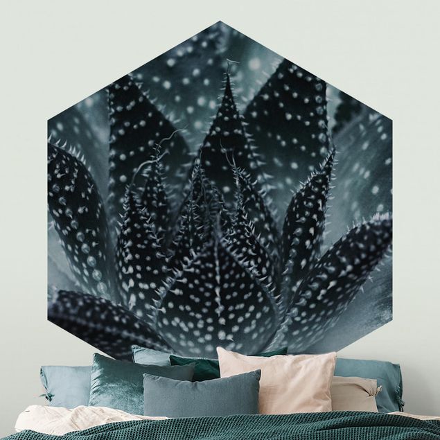 Hexagon Behang Cactus Drizzled With Starlight At Night