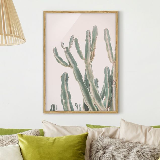 Ingelijste posters - Cactus in front of pastel pink