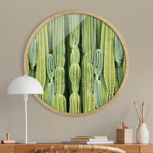 Rond schilderijen Parete con cactus
