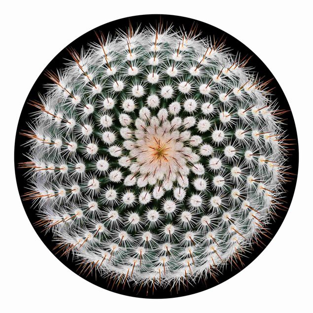 Behangcirkel Cactus Flower
