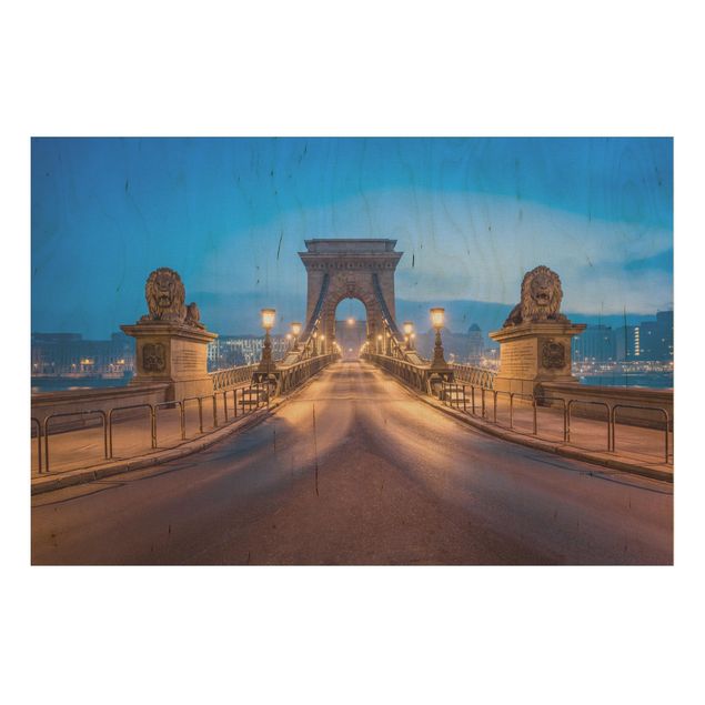 Houten schilderijen Chain Bridge In Budapest At Night