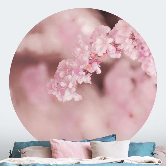 Behangcirkel Cherry Blossoms In Purple Light