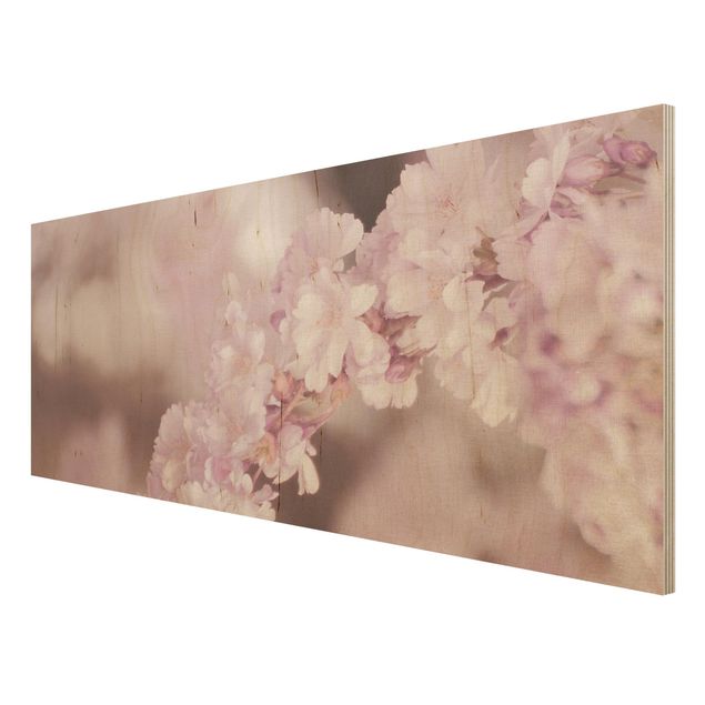 Houten schilderijen Cherry Blossoms In Purple Light