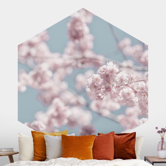 Hexagon Behang Cherry Blossom Party
