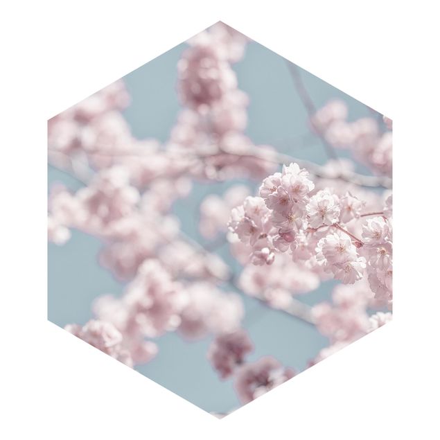 Hexagon Behang Cherry Blossom Party