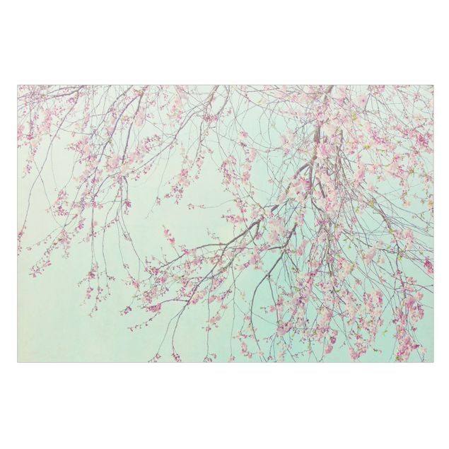 Raamfolie - Cherry Blossom Yearning