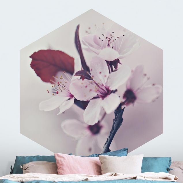 Hexagon Behang Cherry Blossom Branch Antique Pink