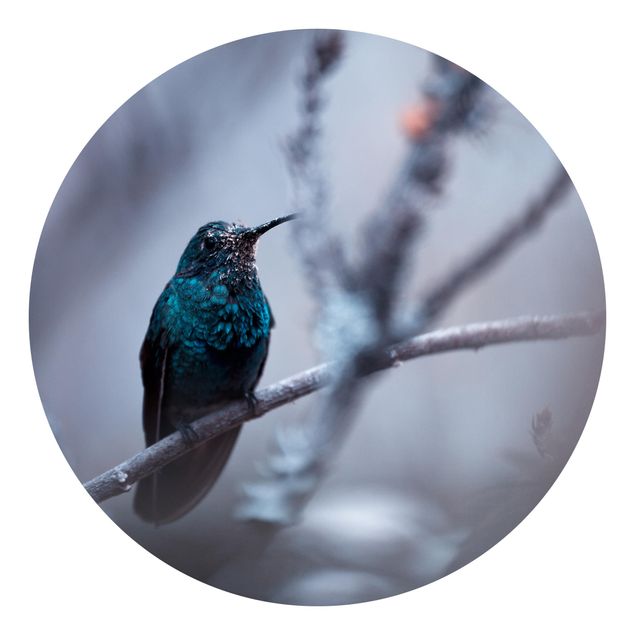 Behangcirkel Hummingbird In Winter