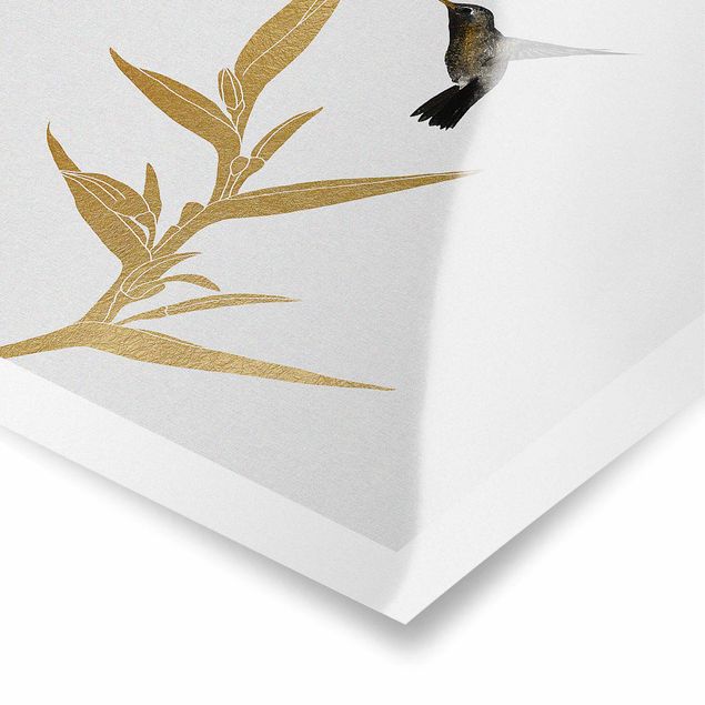 Posters Hummingbird And Tropical Golden Blossom II