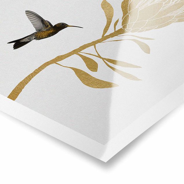 Posters Hummingbird And Tropical Golden Blossom