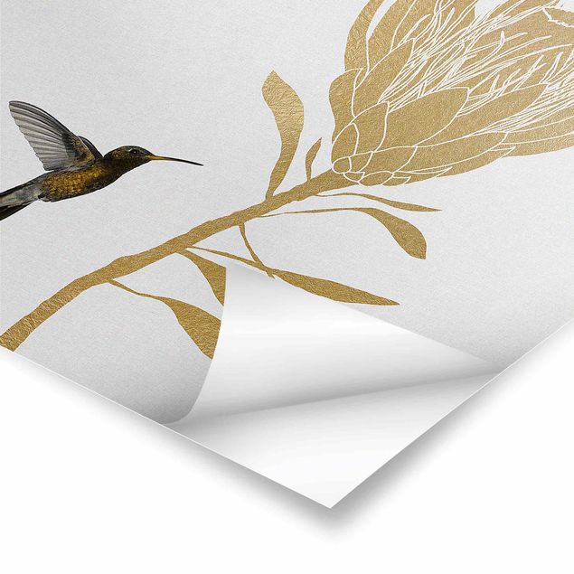 Posters Hummingbird And Tropical Golden Blossom