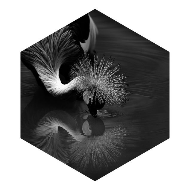 Hexagon Behang Crowned Crane Bow Black And White
