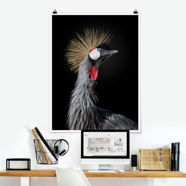 Posters Crowned Crane In Front Of Black