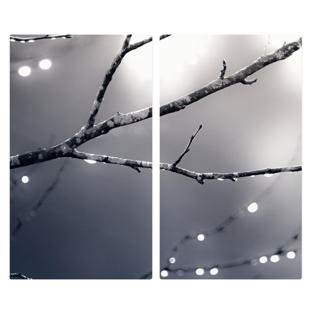 Kookplaat afdekplaten Drops Of Light On A Branch Of A Birch Tree