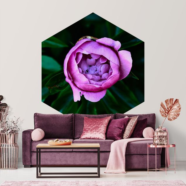 Hexagon Behang Purple Peonies Blossoms In Front Of Leaves
