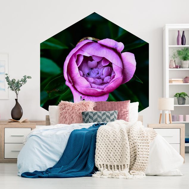 Hexagon Behang Purple Peonies Blossoms In Front Of Leaves