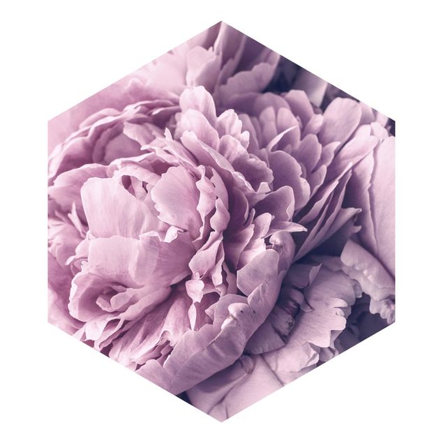 Hexagon Behang Purple Peony Blossoms
