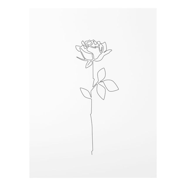 Glasschilderijen - Line Art Flowers - Rose