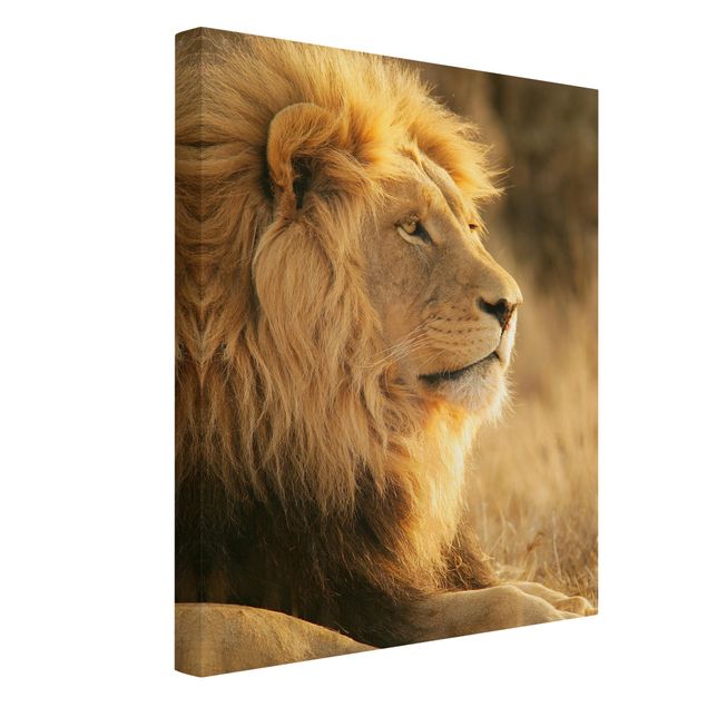 Canvas schilderijen - Lion King
