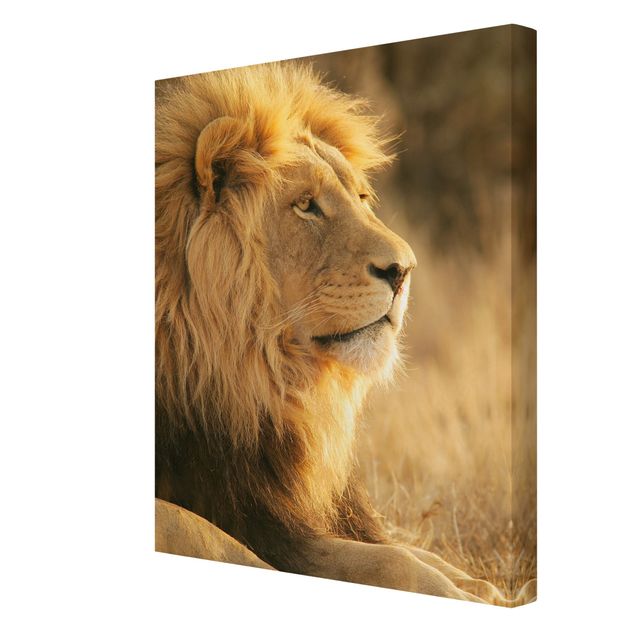 Canvas schilderijen - Lion King