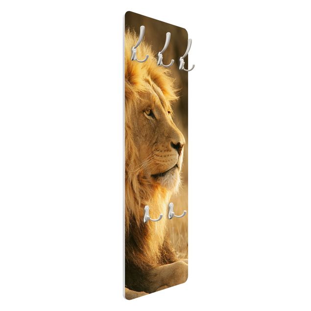 Wandkapstokken houten paneel King Lion