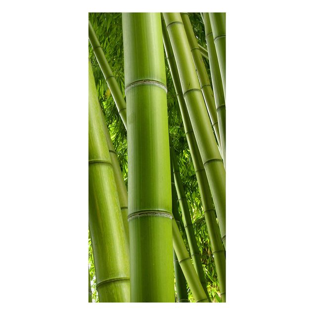 Magneetborden Bamboo Trees