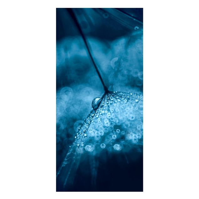 Magneetborden Blue Dandelion In The Rain