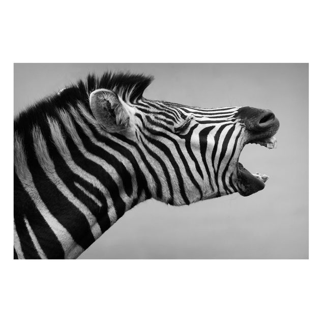 Magneetborden Roaring Zebra ll