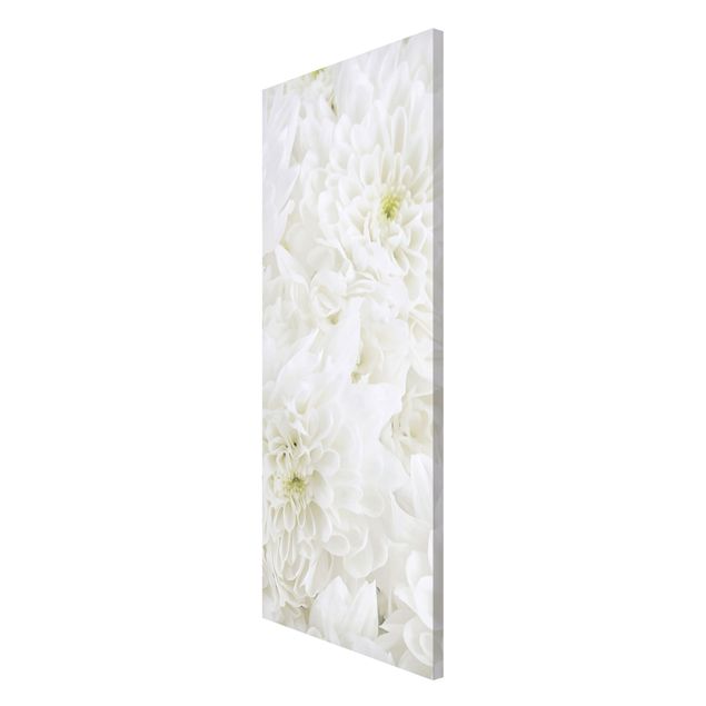 Magneetborden Dahlias Sea Of Flowers White