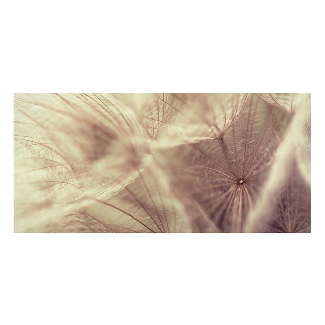 Magneetborden Detailed Dandelion Macro Shot With Vintage Blur Effect